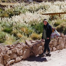 On the way to the hot springs of the Banos de Puritama